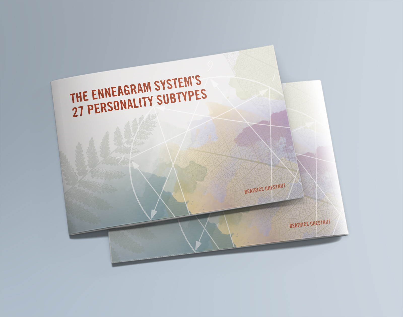 Therapist and Enneagram Consultant booklet